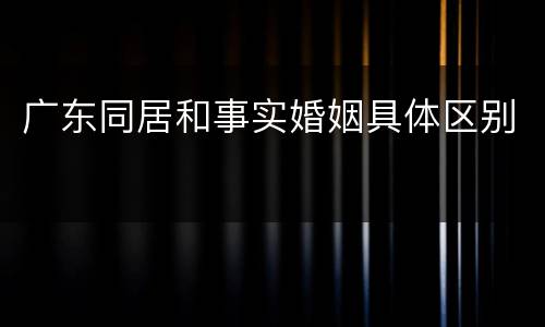 广东同居和事实婚姻具体区别