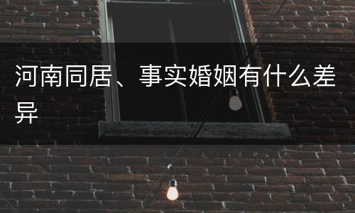 河南同居、事实婚姻有什么差异