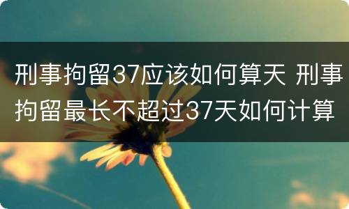 刑事拘留37应该如何算天 刑事拘留最长不超过37天如何计算