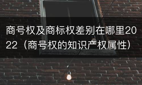 商号权及商标权差别在哪里2022（商号权的知识产权属性）