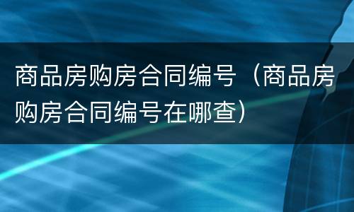 商品房购房合同编号（商品房购房合同编号在哪查）