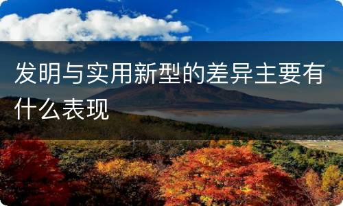 发明与实用新型的差异主要有什么表现