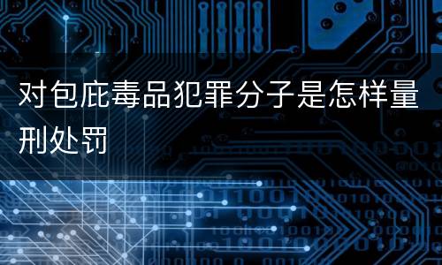 对包庇毒品犯罪分子是怎样量刑处罚