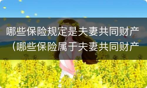 哪些保险规定是夫妻共同财产（哪些保险属于夫妻共同财产）
