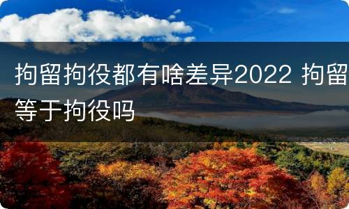 拘留拘役都有啥差异2022 拘留等于拘役吗