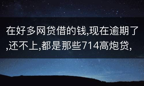 在好多网贷借的钱,现在逾期了,还不上,都是那些714高炮贷,征信上也没有