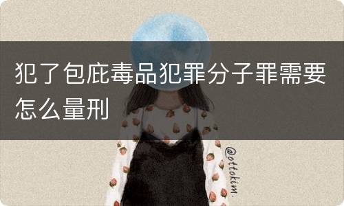 犯了包庇毒品犯罪分子罪需要怎么量刑