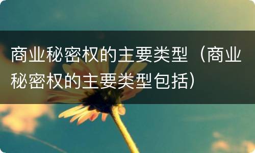 商业秘密权的主要类型（商业秘密权的主要类型包括）