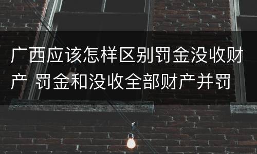 广西应该怎样区别罚金没收财产 罚金和没收全部财产并罚