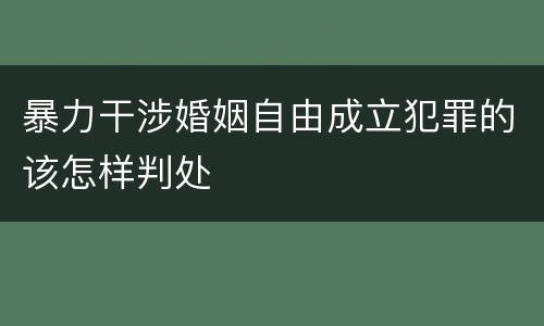 暴力干涉婚姻自由成立犯罪的该怎样判处