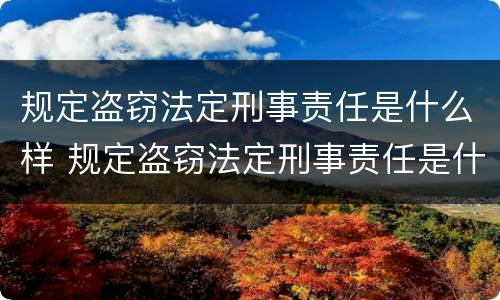 规定盗窃法定刑事责任是什么样 规定盗窃法定刑事责任是什么样的案例