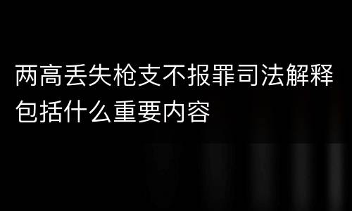 两高丢失枪支不报罪司法解释包括什么重要内容