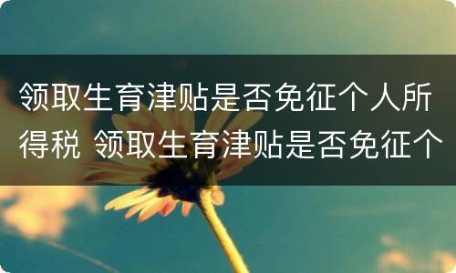 领取生育津贴是否免征个人所得税 领取生育津贴是否免征个人所得税政策