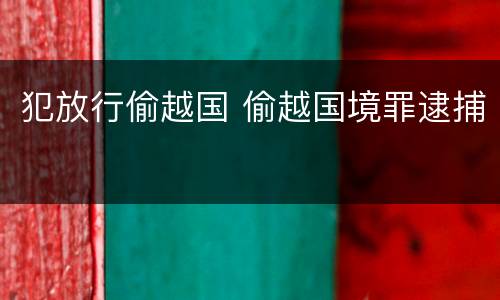 犯放行偷越国 偷越国境罪逮捕