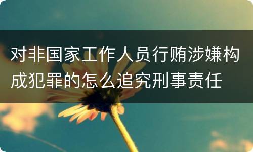 对非国家工作人员行贿涉嫌构成犯罪的怎么追究刑事责任