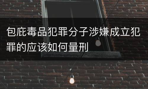 包庇毒品犯罪分子涉嫌成立犯罪的应该如何量刑