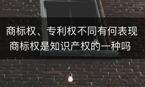 商标权、专利权不同有何表现 商标权是知识产权的一种吗
