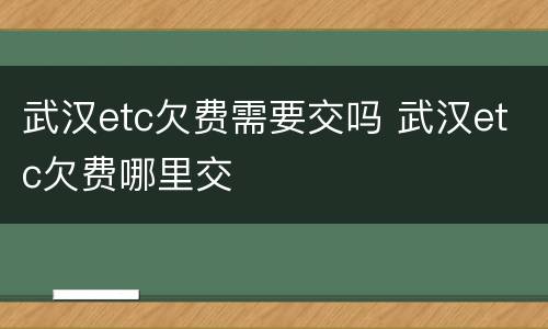 武汉etc欠费需要交吗 武汉etc欠费哪里交
