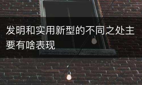 发明和实用新型的不同之处主要有啥表现