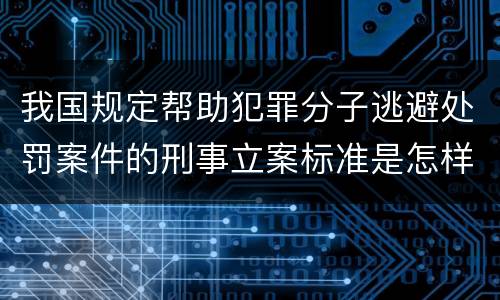 我国规定帮助犯罪分子逃避处罚案件的刑事立案标准是怎样的