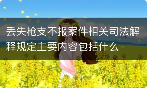 丢失枪支不报案件相关司法解释规定主要内容包括什么