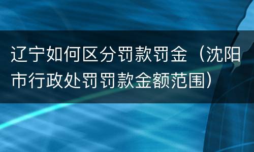 辽宁如何区分罚款罚金（沈阳市行政处罚罚款金额范围）