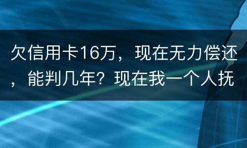欠信用卡16万，现在无力偿还，能判几年？现在我一个人抚养孩子，判刑后孩子怎么办