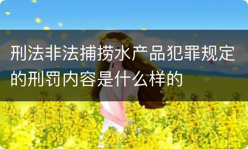 刑法非法捕捞水产品犯罪规定的刑罚内容是什么样的