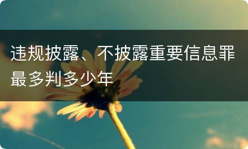 违规披露、不披露重要信息罪最多判多少年