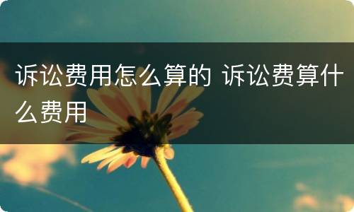 诉讼费用怎么算的 诉讼费算什么费用