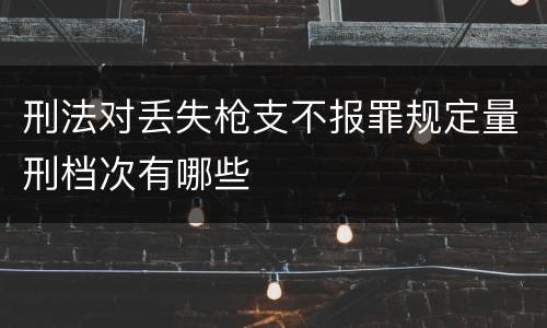 刑法对丢失枪支不报罪规定量刑档次有哪些