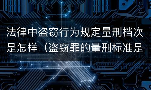 法律中盗窃行为规定量刑档次是怎样（盗窃罪的量刑标准是什么）