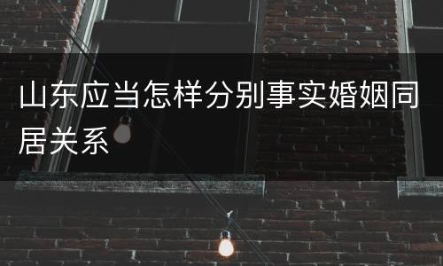 山东应当怎样分别事实婚姻同居关系