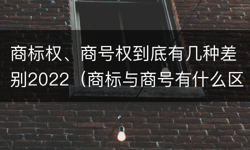 商标权、商号权到底有几种差别2022（商标与商号有什么区别）