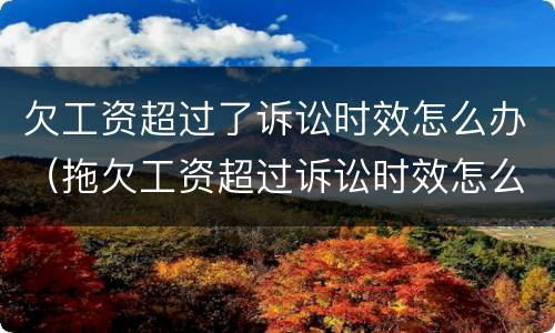 欠工资超过了诉讼时效怎么办（拖欠工资超过诉讼时效怎么办）