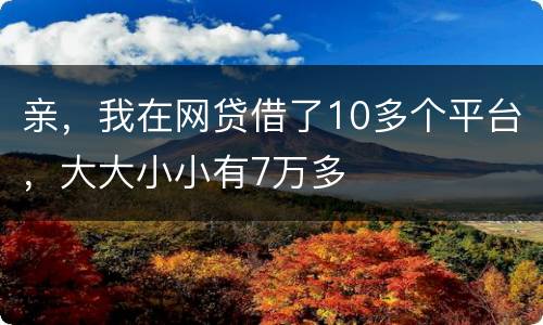 亲，我在网贷借了10多个平台，大大小小有7万多
