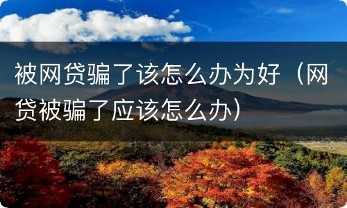 被网贷骗了该怎么办为好（网贷被骗了应该怎么办）