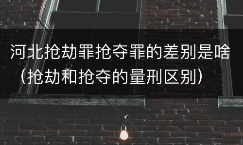 河北抢劫罪抢夺罪的差别是啥（抢劫和抢夺的量刑区别）
