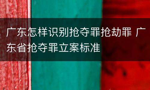 广东怎样识别抢夺罪抢劫罪 广东省抢夺罪立案标准