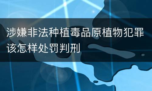 涉嫌非法种植毒品原植物犯罪该怎样处罚判刑