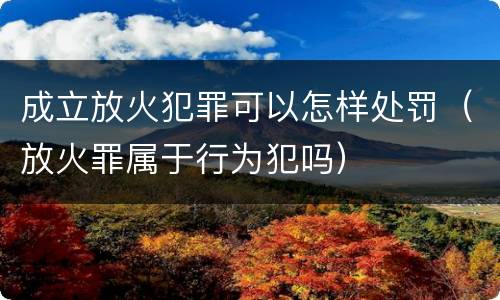 成立放火犯罪可以怎样处罚（放火罪属于行为犯吗）