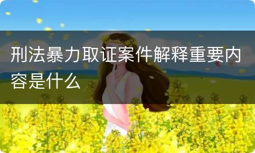 刑法暴力取证案件解释重要内容是什么