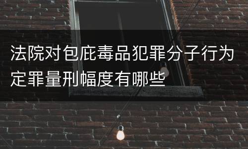 法院对包庇毒品犯罪分子行为定罪量刑幅度有哪些