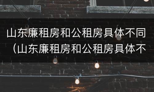 山东廉租房和公租房具体不同（山东廉租房和公租房具体不同吗）