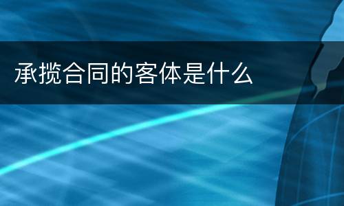 承揽合同的客体是什么