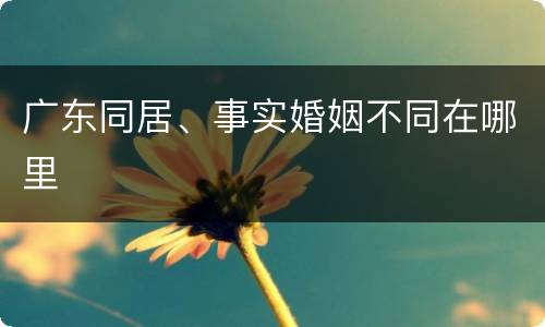 广东同居、事实婚姻不同在哪里