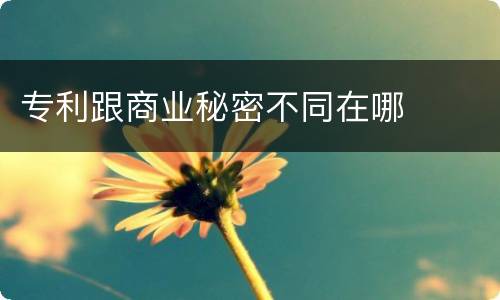 专利跟商业秘密不同在哪