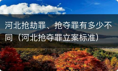 河北抢劫罪、抢夺罪有多少不同（河北抢夺罪立案标准）