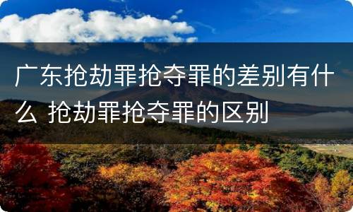 广东抢劫罪抢夺罪的差别有什么 抢劫罪抢夺罪的区别