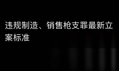 违规制造、销售枪支罪最新立案标准